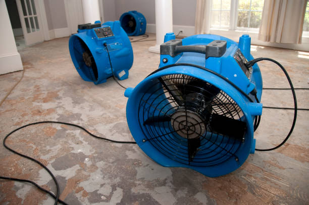 Trusted Water Damage Restoration in Milbank, SD | Fast, Reliable, and Ready to Assist You